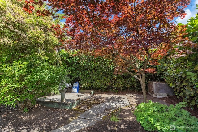 804 Electron Way, Fircrest, WA 98466 - view of yard