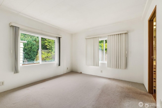 1415 84th St SE Unit 192, Everett, WA 98208 - empty room with carpet