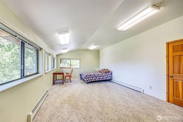 194 Protection Ridge Dr, Port Townsend, WA 98368 - sitting room featuring a baseboard heating unit, carpet, and vaulted ceiling