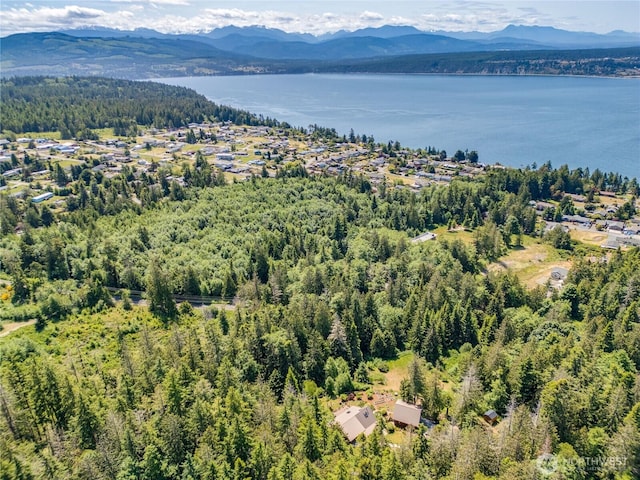 194 Protection Ridge Dr, Port Townsend, WA 98368 - bird's eye view of a water and mountain view and a heavily wooded area