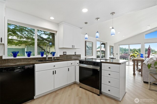 153 Swinomish Dr, La Conner, WA 98257 - kitchen with black dishwasher, range with electric stovetop, light wood-style floors, plenty of natural light, and lofted ceiling