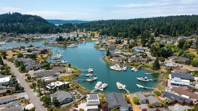 153 Swinomish Dr, La Conner, WA 98257 - drone / aerial view of numerous boat docks and a large body of water