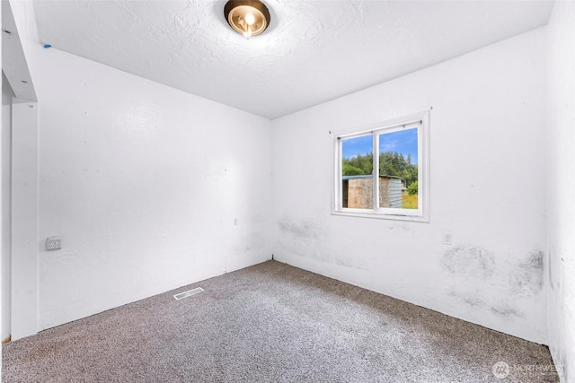 8739 F And S Grade Rd, Sedro Woolley, WA 98284 - carpeted empty room featuring a textured ceiling