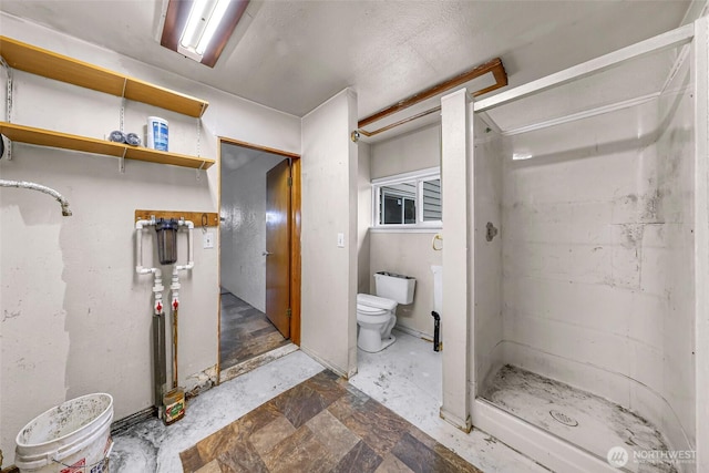 8739 F And S Grade Rd, Sedro Woolley, WA 98284 - full bath featuring a shower stall and toilet