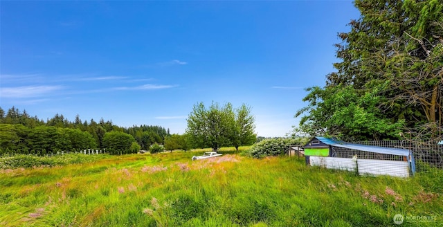 8739 F And S Grade Rd, Sedro Woolley, WA 98284 - view of yard