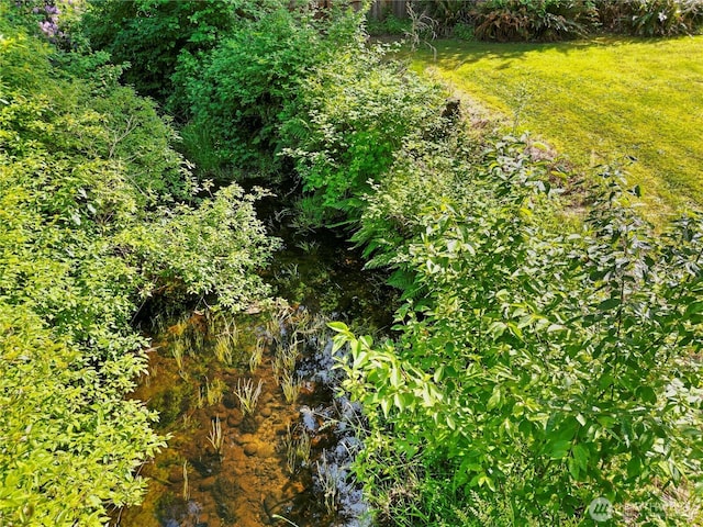 8031 Fir Tree Ln, Lake Stevens, WA 98258 - view of local wilderness