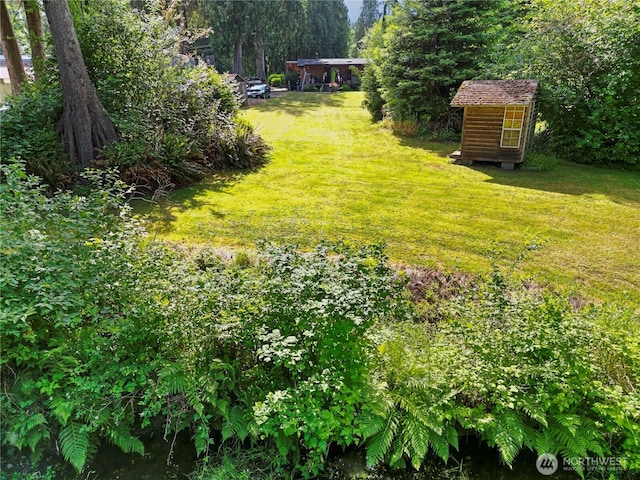 8031 Fir Tree Ln, Lake Stevens, WA 98258 - view of green lawn featuring a shed