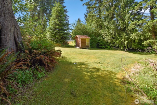 8031 Fir Tree Ln, Lake Stevens, WA 98258 - view of grassy yard with a storage shed