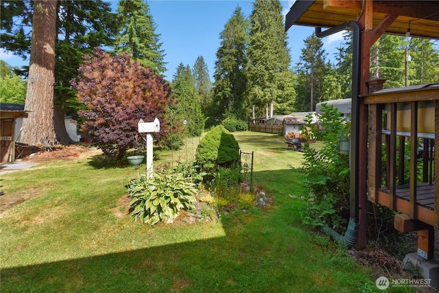 8031 Fir Tree Ln, Lake Stevens, WA 98258 - view of green lawn