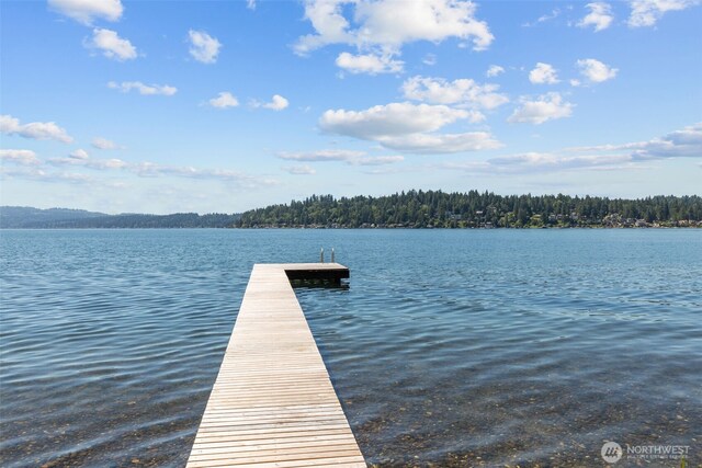 2629 E Lake Sammamish Pkwy NE, Sammamish, WA 98074 - photo 10