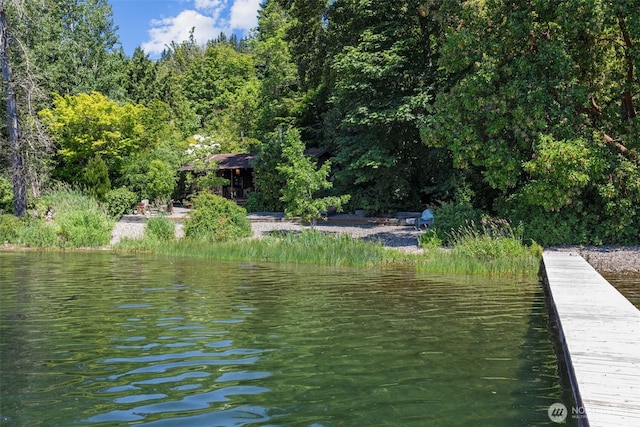 2629 E Lake Sammamish Pkwy NE, Sammamish, WA 98074 - photo 11