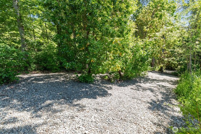 2629 E Lake Sammamish Pkwy NE, Sammamish, WA 98074 - photo 12