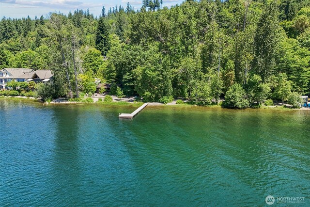 2629 E Lake Sammamish Pkwy NE, Sammamish, WA 98074 - photo 14