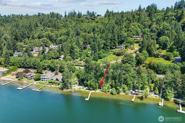 2629 E Lake Sammamish Pkwy NE, Sammamish, WA 98074 - photo 15