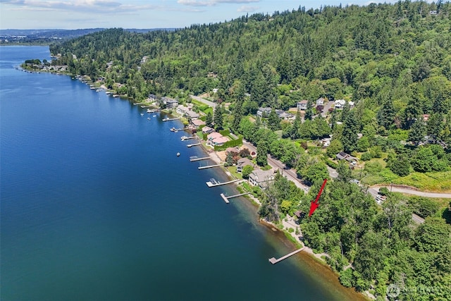 2629 E Lake Sammamish Pkwy NE, Sammamish, WA 98074 - photo 16