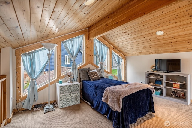 101 Driftwood Ln, Chelan, WA 98816 - photo 16