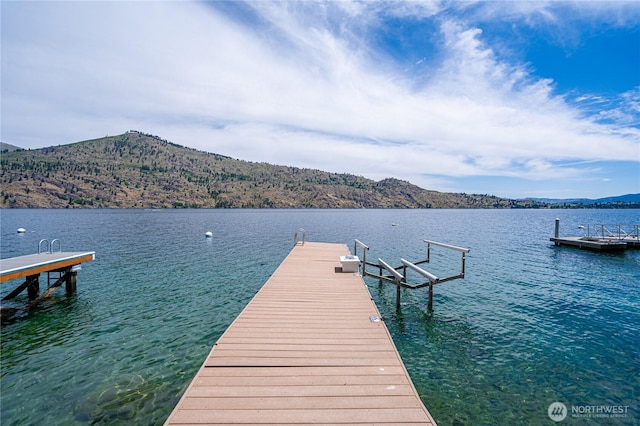 101 Driftwood Ln, Chelan, WA 98816 - photo 35