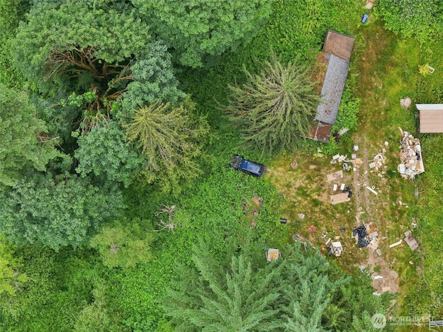 10101 Elliott Rd, Snohomish, WA 98296 - aerial view of property and surrounding area
