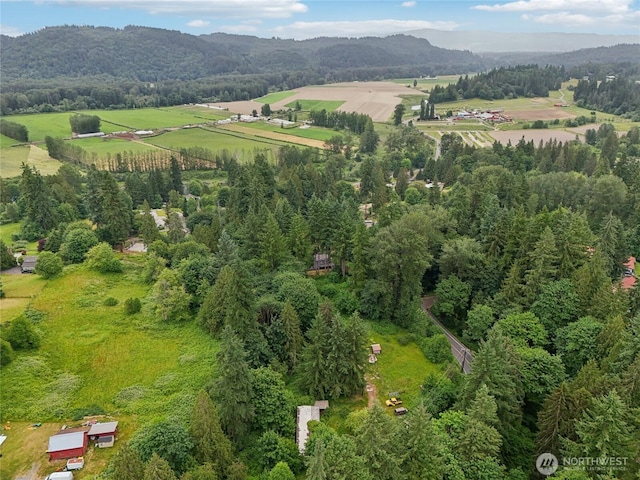 10101 Elliott Rd, Snohomish, WA 98296 - aerial view of property's location with a mountain backdrop and rural landscape
