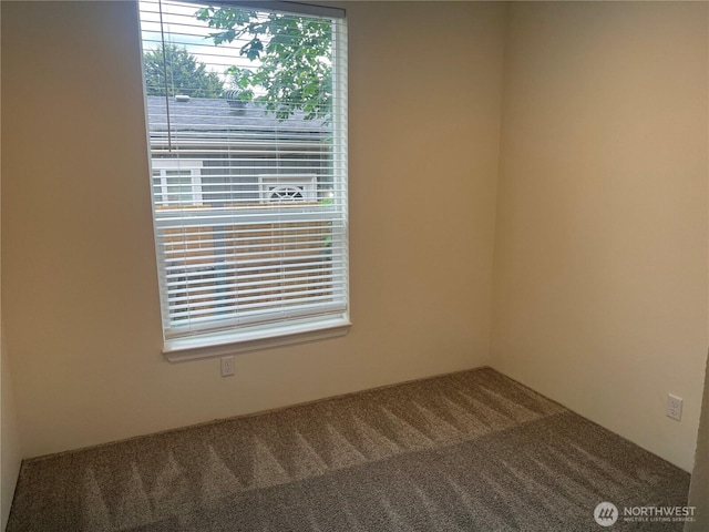 375 Union Ave SE Unit 97, Renton, WA 98059 - spare room with carpet floors and healthy amount of natural light