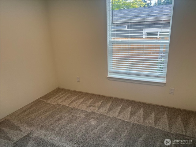 375 Union Ave SE Unit 97, Renton, WA 98059 - empty room featuring carpet floors