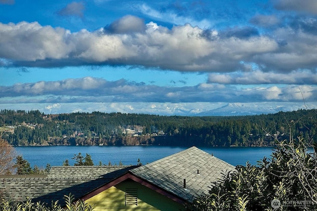 4876 Breezefair Rd, Freeland, WA 98249 - water view featuring a forest