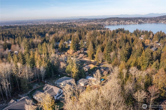 989 Lakewood Ln, Bellingham, WA 98229 - bird's eye view of a heavily wooded area and a large body of water