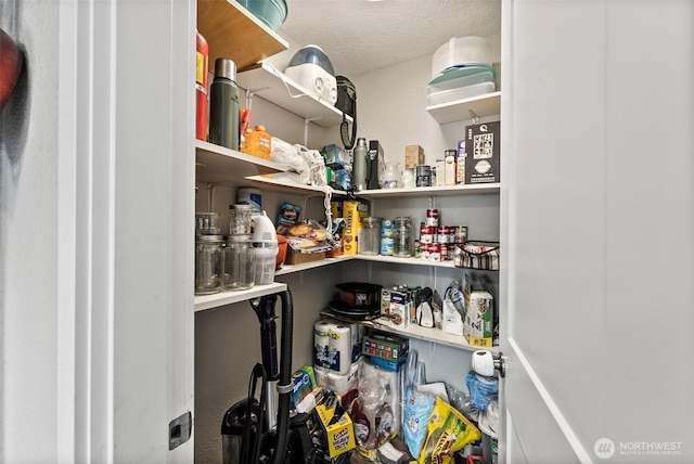 9413 356th Street Ct S, Roy, WA 98558 - view of pantry