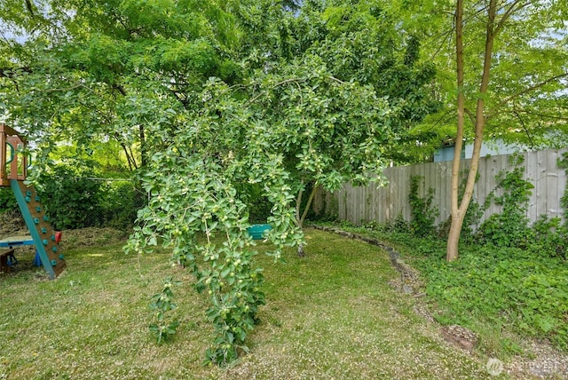 9413 356th Street Ct S, Roy, WA 98558 - view of yard