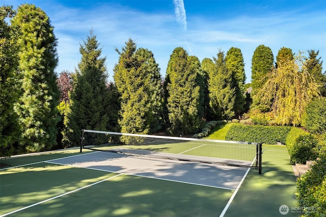 9001 NE 14th St, Clyde Hill, WA 98004 - view of tennis court