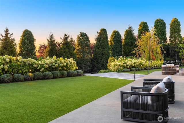 9001 NE 14th St, Clyde Hill, WA 98004 - yard at dusk featuring a yard and a patio area