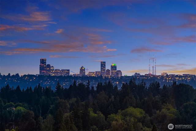 9001 NE 14th St, Clyde Hill, WA 98004 - view of city skyline with a forest