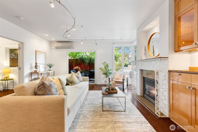 719 2nd Ave W Unit 101, Seattle, WA 98119 - living area with a wall mounted AC, dark wood-type flooring, and a premium fireplace