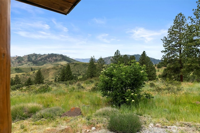 9999 Olalla Canyon Rd, Cashmere, WA 98815 - photo 26