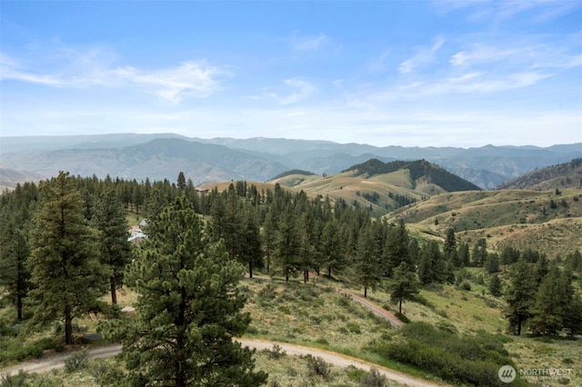 9999 Olalla Canyon Rd, Cashmere, WA 98815 - photo 31