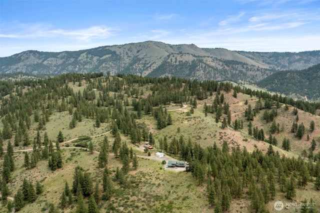 9999 Olalla Canyon Rd, Cashmere, WA 98815 - photo 33