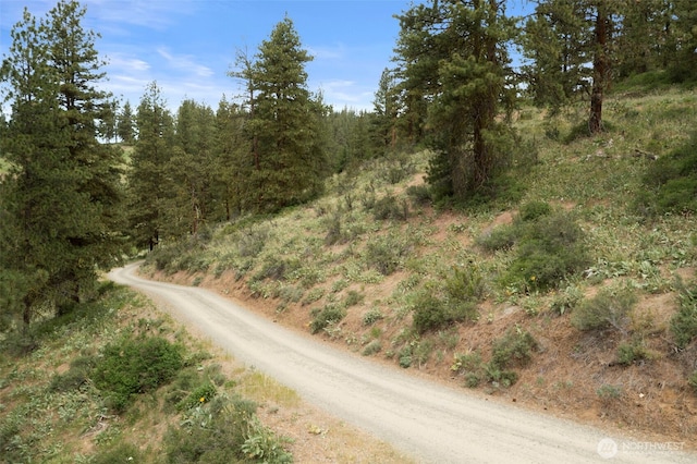 9999 Olalla Canyon Rd, Cashmere, WA 98815 - photo 35
