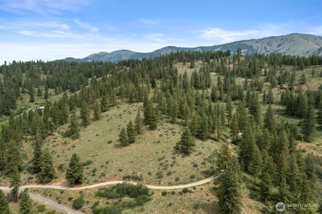 9999 Olalla Canyon Rd, Cashmere, WA 98815 - photo 34