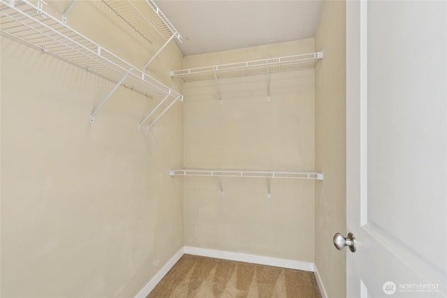 9503 Ashworth Ave N Unit B, Seattle, WA 98103 - spacious closet featuring carpet