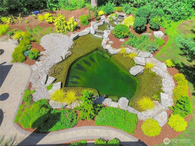 3941 16th Ln NE, Olympia, WA 98506 - bird's eye view of a garden pond