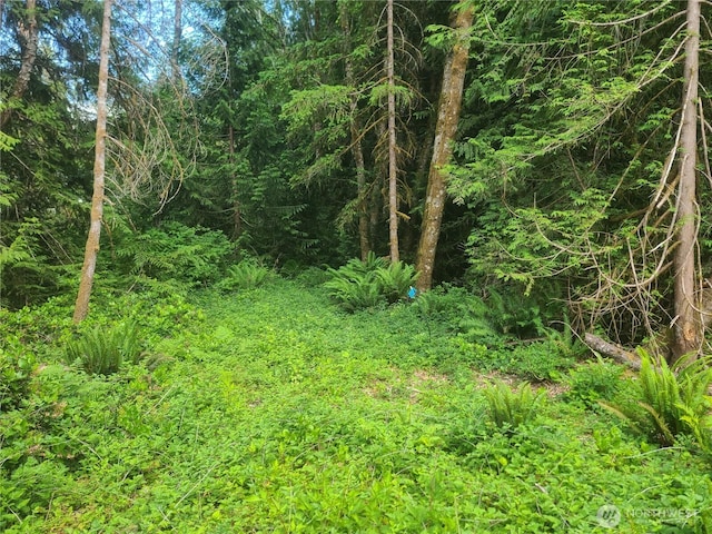 15908 71st Street Nw Nw, Lakebay, WA 98349