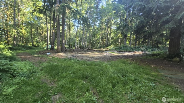 17124 80th St SW, Longbranch, WA 98351