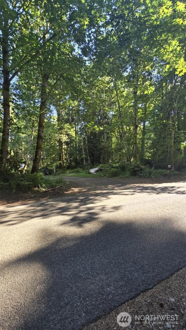 17124 80th St SW, Longbranch, WA 98351