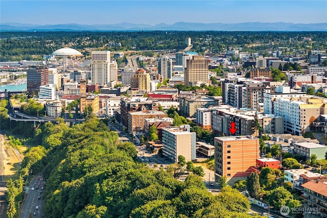 207 Broadway Unit 500, Tacoma, WA 98402 - view of city with mountains