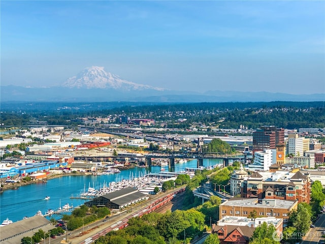 207 Broadway Unit 500, Tacoma, WA 98402 - aerial view of a nearby body of water and numerous boat docks