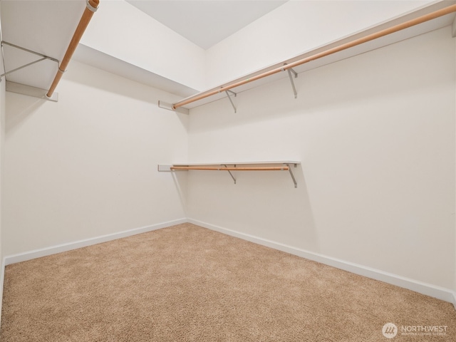 31867 48th Cir SW Unit 14A, Federal Way, WA 98023 - walk in closet featuring carpet flooring