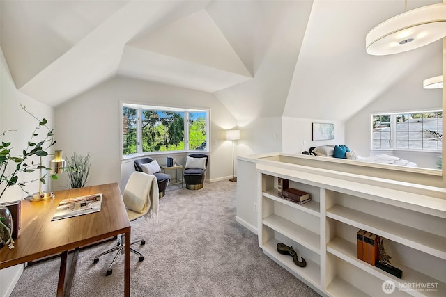4412 43rd Ave NE, Seattle, WA 98105 - office space featuring light colored carpet, lofted ceiling, and healthy amount of natural light