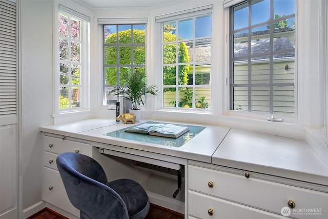 4412 43rd Ave NE, Seattle, WA 98105 - home office with healthy amount of natural light