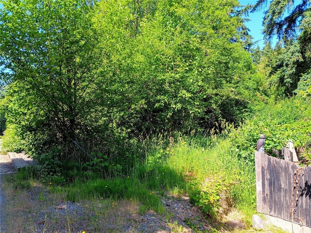 22606 Paul Bunyan, Yelm, WA 98597