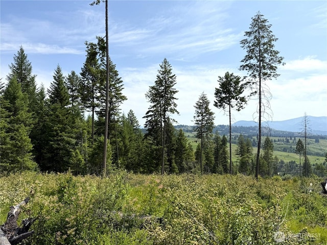 0 Rockabye Ln, Curlew, WA 99118